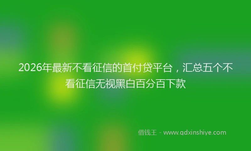 2026年最新不看征信的首付贷平台，汇总五个不看征信无视黑白百分百下款