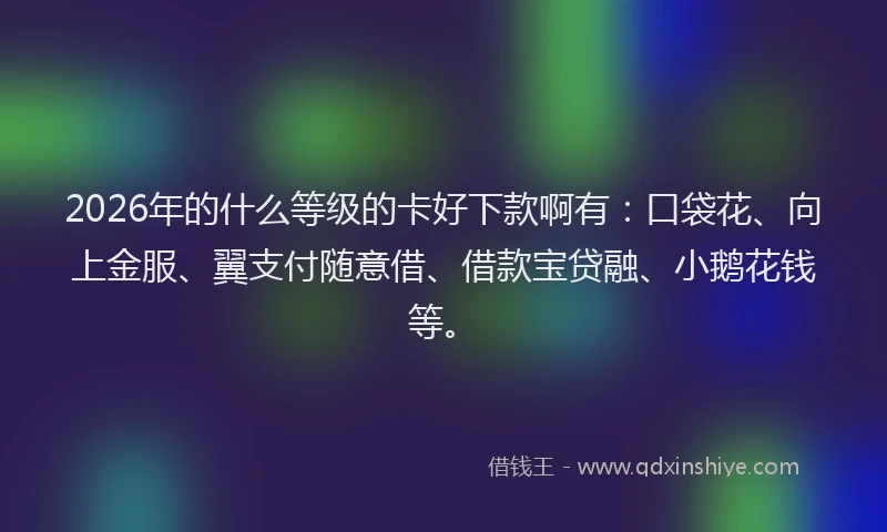 2026年的什么等级的卡好下款啊有：口袋花、向上金服、翼支付随意借、借款宝贷融、小鹅花钱等。