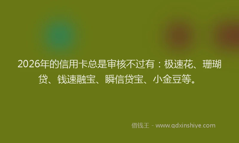 2026年的信用卡总是审核不过有:极速花、珊瑚贷、钱速融宝、瞬信贷宝、小金豆等。