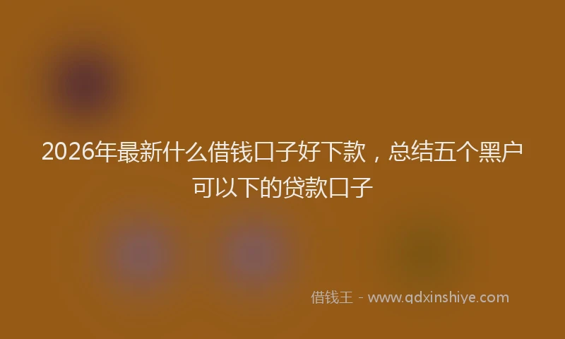 2026年最新什么借钱口子好下款，总结五个黑户可以下的贷款口子