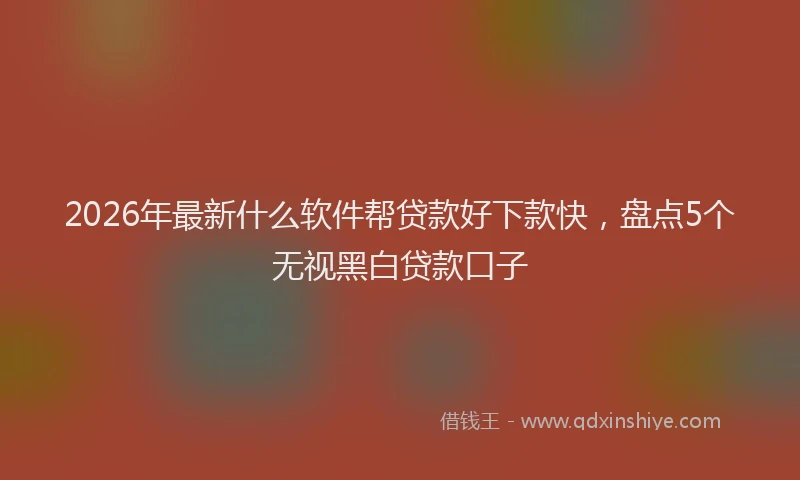 2026年最新什么软件帮贷款好下款快，盘点5个无视黑白贷款口子