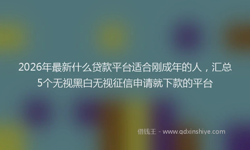 2026年最新什么贷款平台适合刚成年的人,汇总5个无视黑白无视征信申请就下款的平台