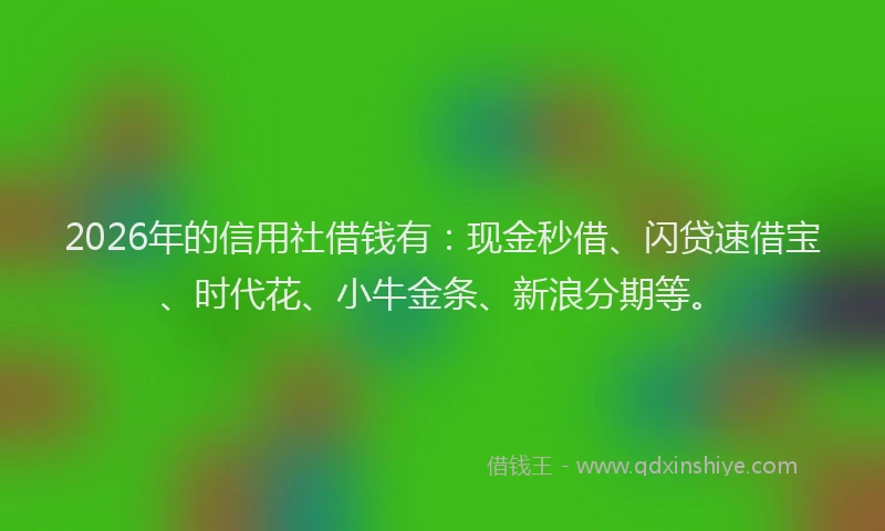 2026年的信用社借钱有：现金秒借、闪贷速借宝、时代花、小牛金条、新浪分期等。