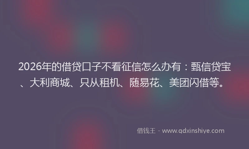 2026年的借贷口子不看征信怎么办有：甄信贷宝、大利商城、只从租机、随易花、美团闪借等。