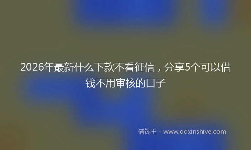 2026年最新什么下款不看征信，分享5个可以借钱不用审核的口子