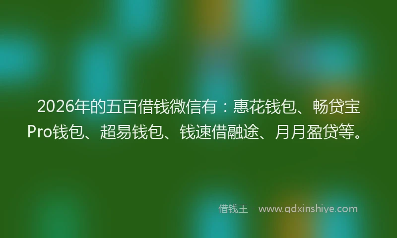 2026年的五百借钱微信有：惠花钱包、畅贷宝Pro钱包、超易钱包、钱速借融途、月月盈贷等。