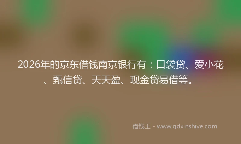2026年的京东借钱南京银行有:口袋贷、爱小花、甄信贷、天天盈、现金贷易借等。