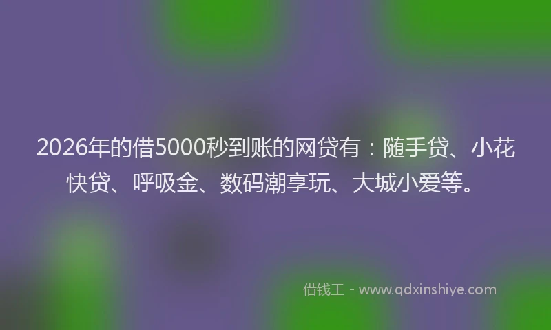 2026年的借5000秒到账的网贷有：随手贷、小花快贷、呼吸金、数码潮享玩、大城小爱等。