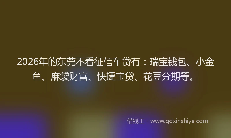2026年的东莞不看征信车贷有：瑞宝钱包、小金鱼、麻袋财富、快捷宝贷、花豆分期等。