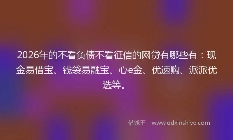 2026年的不看负债不看征信的网贷有哪些有：现金易借宝、钱袋易融宝、心e金、优速购、派派优选等。
