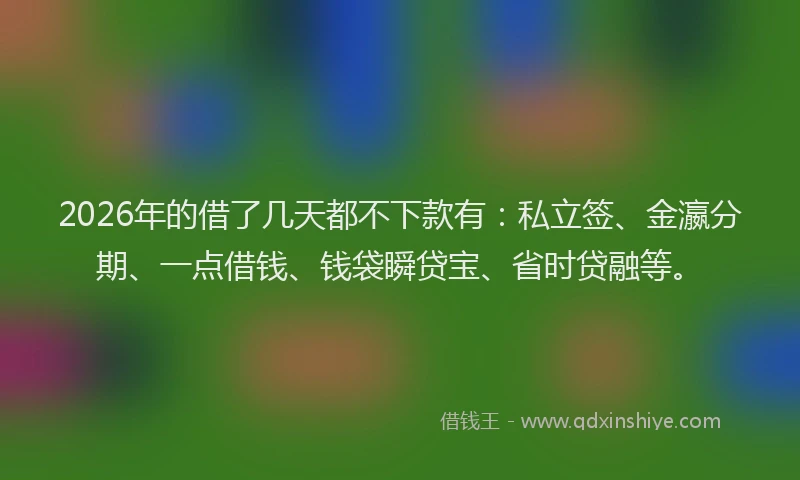 2026年的借了几天都不下款有：私立签、金瀛分期、一点借钱、钱袋瞬贷宝、省时贷融等。