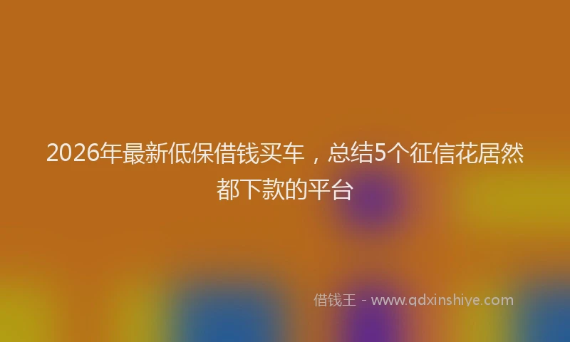 2026年最新低保借钱买车，总结5个征信花居然都下款的平台