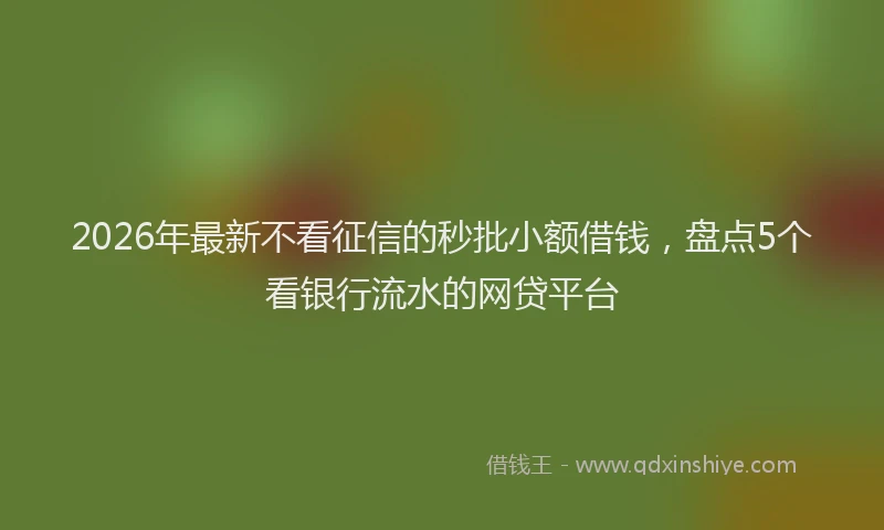 2026年最新不看征信的秒批小额借钱，盘点5个看银行流水的网贷平台