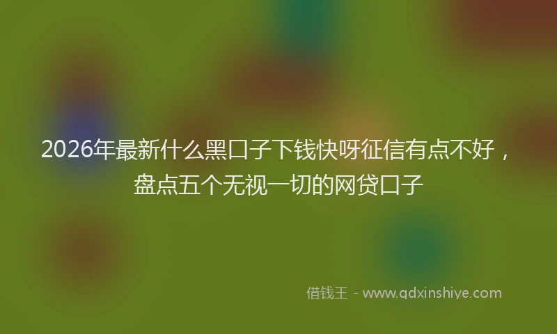2026年最新什么黑口子下钱快呀征信有点不好，盘点五个无视一切的网贷口子