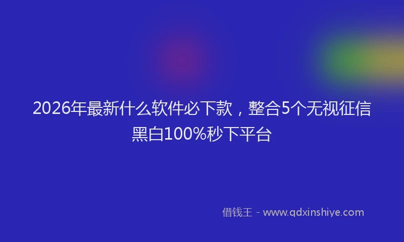2026年最新什么软件必下款，整合5个无视征信黑白100%秒下平台