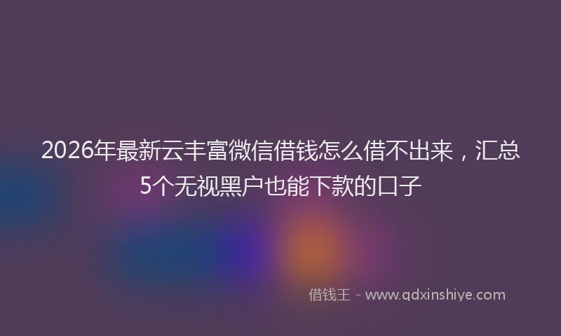 2026年最新云丰富微信借钱怎么借不出来,汇总5个无视黑户也能下款的口子