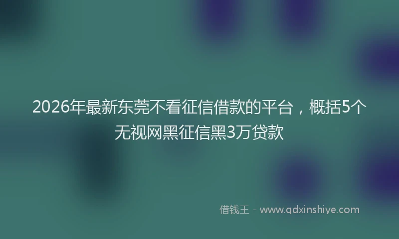2026年最新东莞不看征信借款的平台，概括5个无视网黑征信黑3万贷款