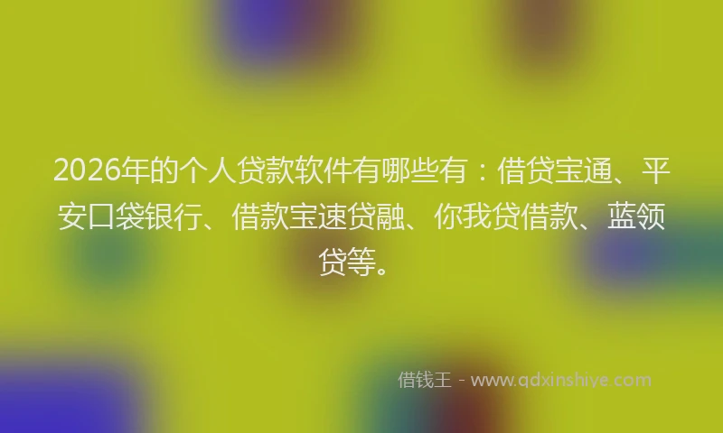 2026年的个人贷款软件有哪些有：借贷宝通、平安口袋银行、借款宝速贷融、你我贷借款、蓝领贷等。