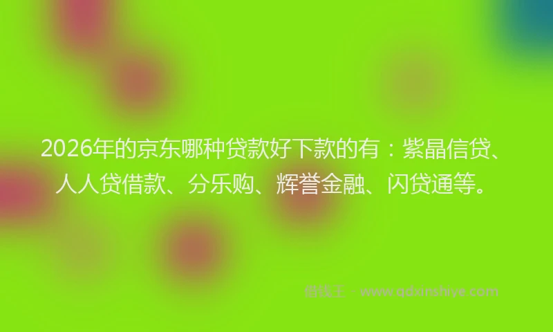 2026年的京东哪种贷款好下款的有：紫晶信贷、人人贷借款、分乐购、辉誉金融、闪贷通等。