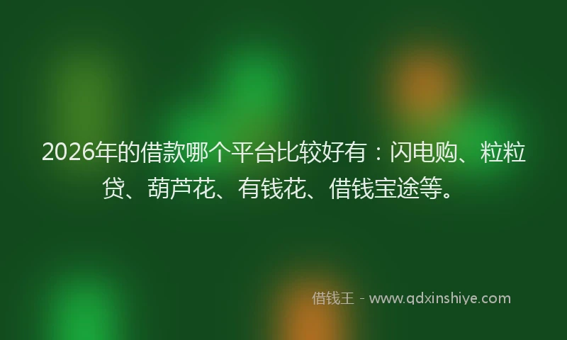 2026年的借款哪个平台比较好有：闪电购、粒粒贷、葫芦花、有钱花、借钱宝途等。