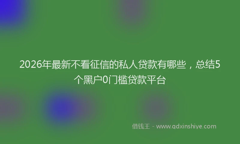 2026年最新不看征信的私人贷款有哪些，总结5个黑户0门槛贷款平台