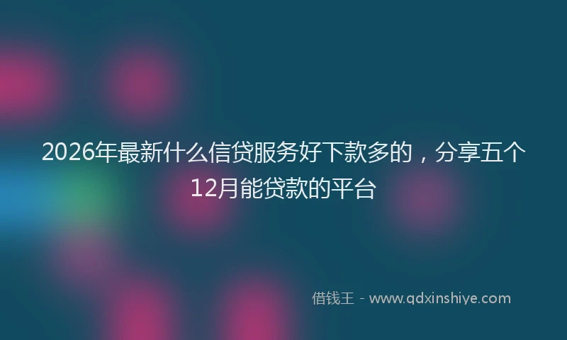 2026年最新什么信贷服务好下款多的，分享五个12月能贷款的平台