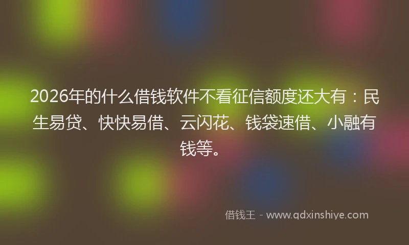2026年的什么借钱软件不看征信额度还大有：民生易贷、快快易借、云闪花、钱袋速借、小融有钱等。