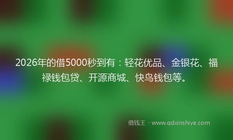 2026年的借5000秒到有：轻花优品、金银花、福禄钱包贷、开源商城、快鸟钱包等。