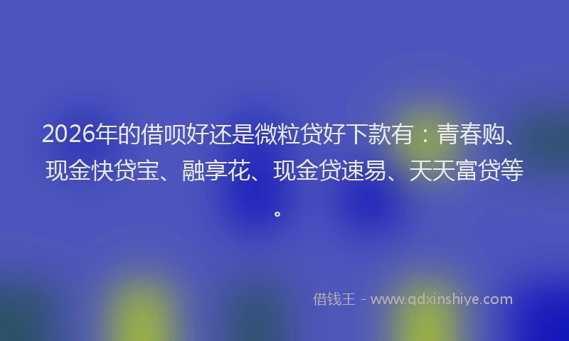 2026年的借呗好还是微粒贷好下款有：青春购、现金快贷宝、融享花、现金贷速易、天天富贷等。