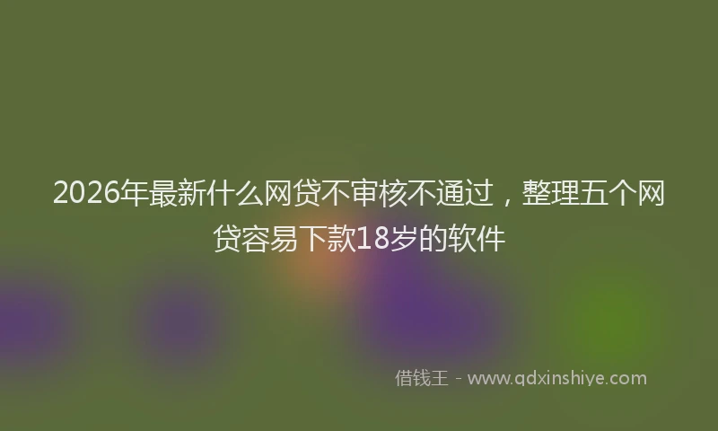 2026年最新什么网贷不审核不通过,整理五个网贷容易下款18岁的软件