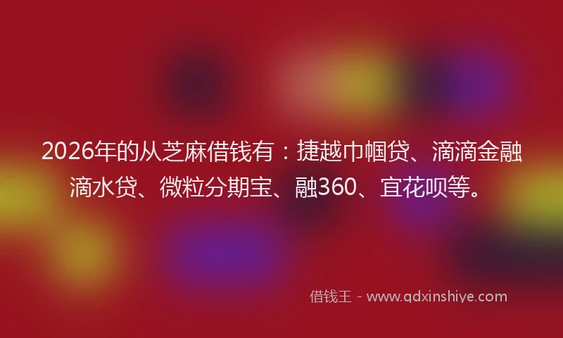 2026年的从芝麻借钱有：捷越巾帼贷、滴滴金融滴水贷、微粒分期宝、融360、宜花呗等。