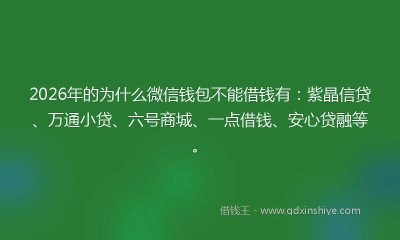 2026年的为什么微信钱包不能借钱有:紫晶信贷、万通小贷、六号商城、一点借钱、安心贷融等。