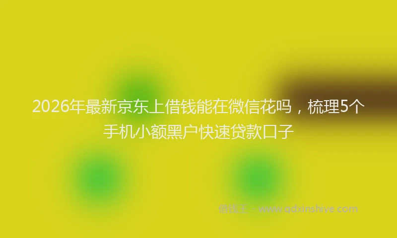 2026年最新京东上借钱能在微信花吗，梳理5个手机小额黑户快速贷款口子