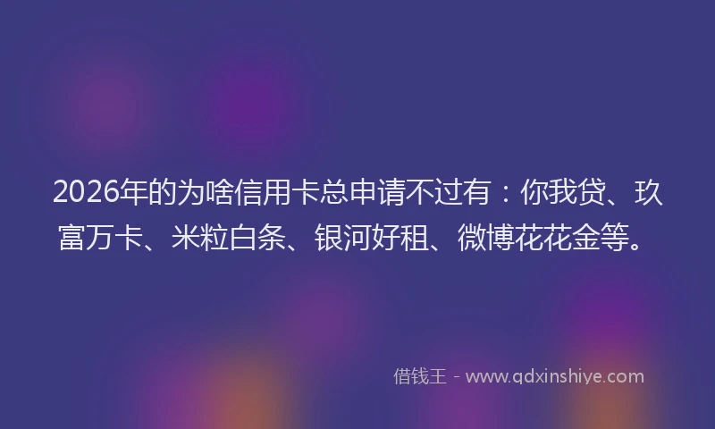 2026年的为啥信用卡总申请不过有：你我贷、玖富万卡、米粒白条、银河好租、微博花花金等。