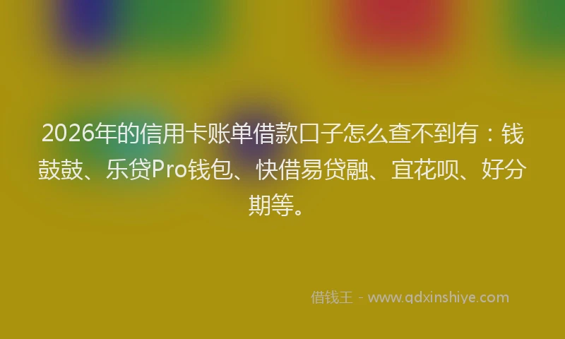 2026年的信用卡账单借款口子怎么查不到有：钱鼓鼓、乐贷Pro钱包、快借易贷融、宜花呗、好分期等。