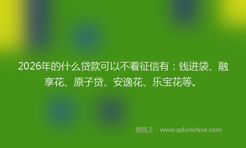 2026年的什么贷款可以不看征信有：钱进袋、融享花、原子贷、安逸花、乐宝花等。