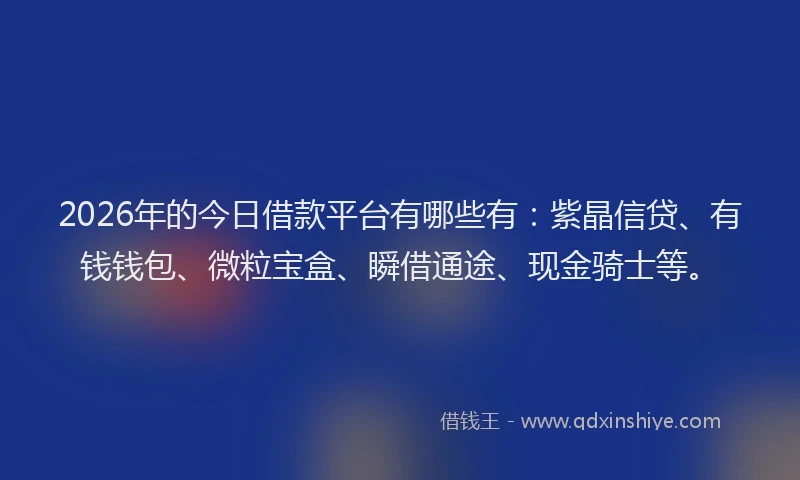 2026年的今日借款平台有哪些有:紫晶信贷、有钱钱包、微粒宝盒、瞬借通途、现金骑士等。