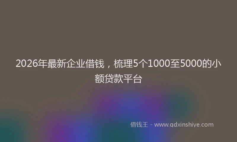2026年最新企业借钱，梳理5个1000至5000的小额贷款平台