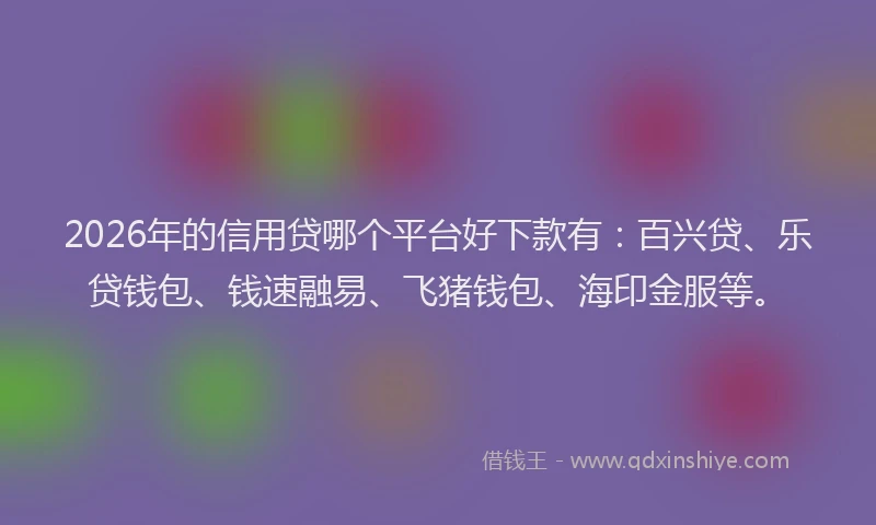 2026年的信用贷哪个平台好下款有：百兴贷、乐贷钱包、钱速融易、飞猪钱包、海印金服等。