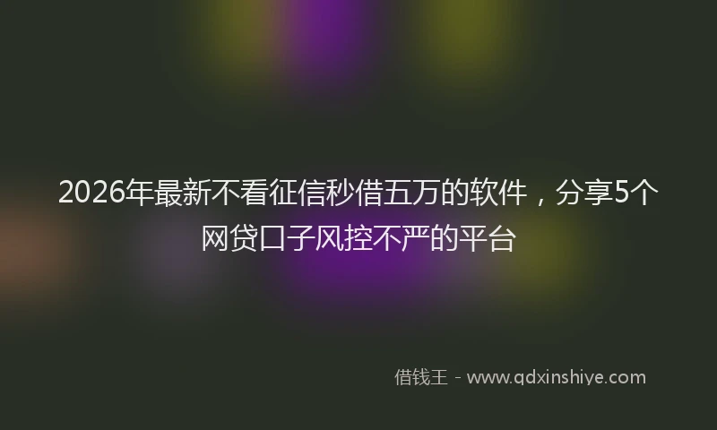 2026年最新不看征信秒借五万的软件,分享5个网贷口子风控不严的平台