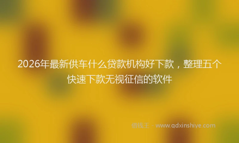 2026年最新供车什么贷款机构好下款，整理五个快速下款无视征信的软件