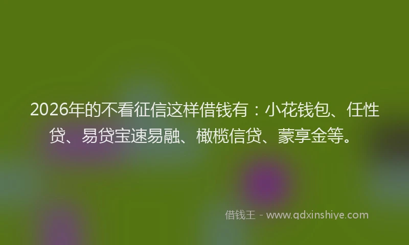 2026年的不看征信这样借钱有:小花钱包、任性贷、易贷宝速易融、橄榄信贷、蒙享金等。