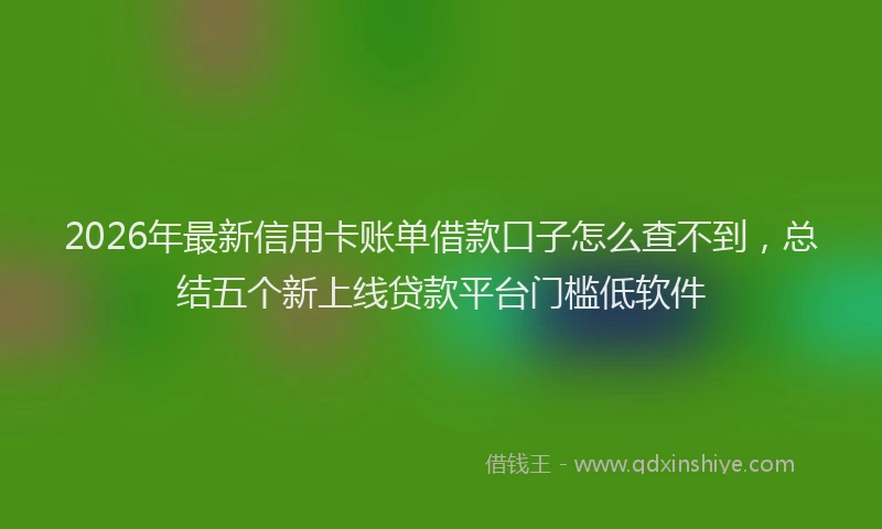 2026年最新信用卡账单借款口子怎么查不到，总结五个新上线贷款平台门槛低软件