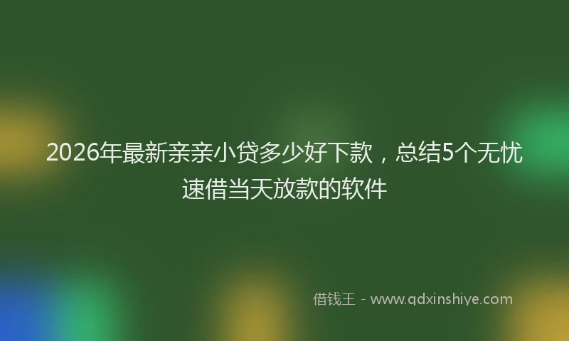 2026年最新亲亲小贷多少好下款，总结5个无忧速借当天放款的软件
