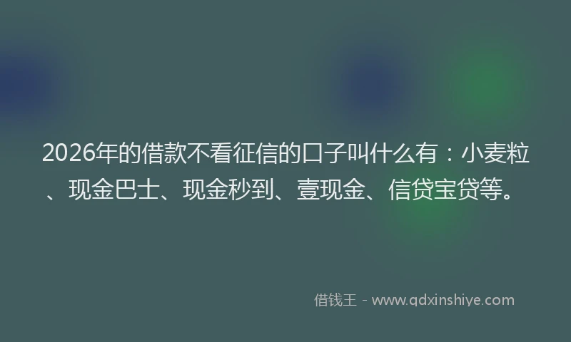 2026年的借款不看征信的口子叫什么有：小麦粒、现金巴士、现金秒到、壹现金、信贷宝贷等。