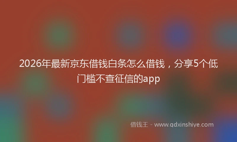 2026年最新京东借钱白条怎么借钱，分享5个低门槛不查征信的app