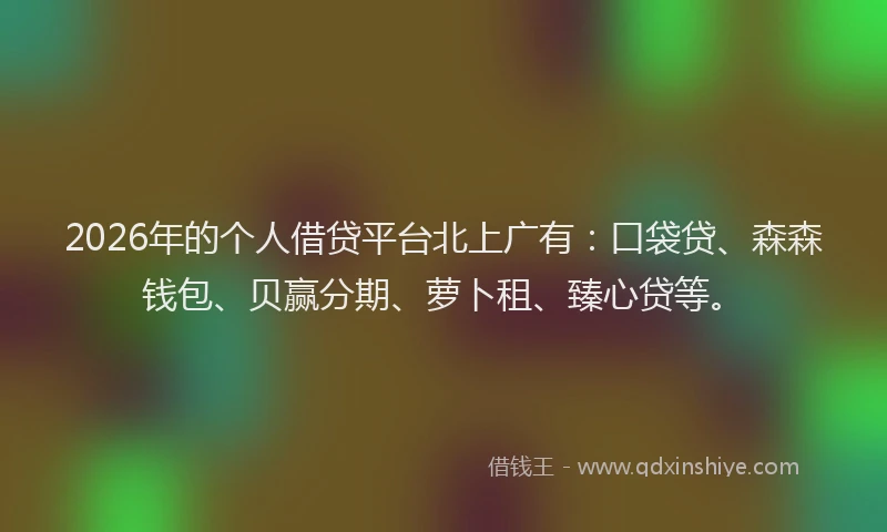 2026年的个人借贷平台北上广有:口袋贷、森森钱包、贝赢分期、萝卜租、臻心贷等。