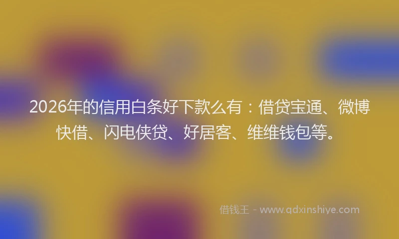 2026年的信用白条好下款么有：借贷宝通、微博快借、闪电侠贷、好居客、维维钱包等。