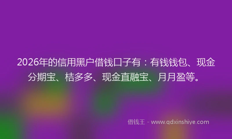 2026年的信用黑户借钱口子有：有钱钱包、现金分期宝、桔多多、现金直融宝、月月盈等。
