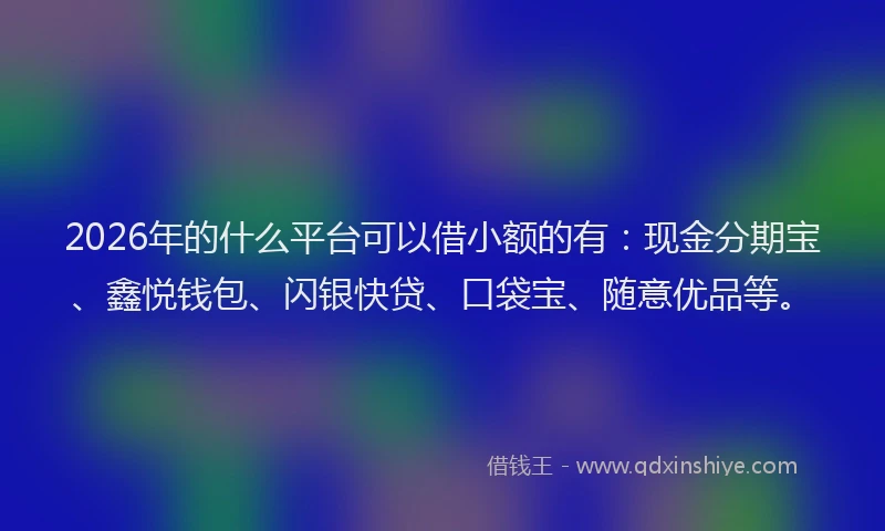 2026年的什么平台可以借小额的有：现金分期宝、鑫悦钱包、闪银快贷、口袋宝、随意优品等。